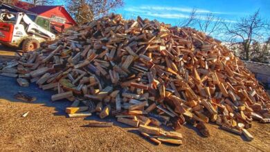 Kiln Dried Wood