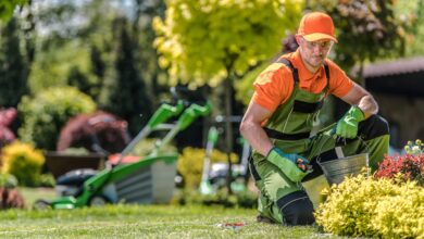 Landscape Maintenance