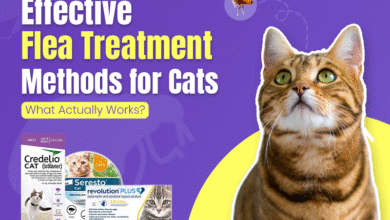 Flea Treatment Methods