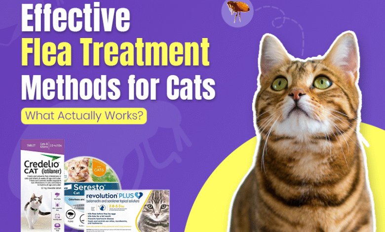 Flea Treatment Methods