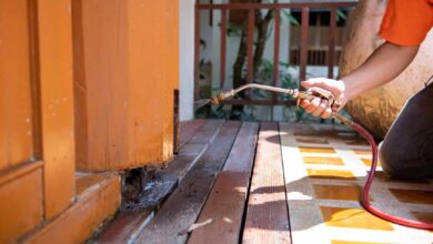 Protect Your Home with Comprehensive Termite Inspection Services