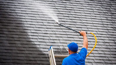 Roof Cleaning