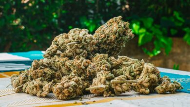 THCA Bulk Essential Tips for Finding Reliable Suppliers and Vendors
