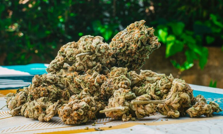 THCA Bulk Essential Tips for Finding Reliable Suppliers and Vendors