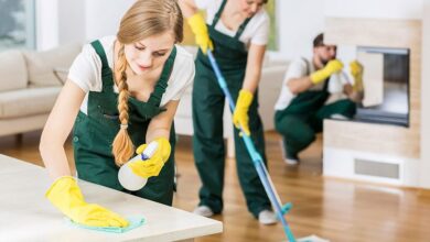 The Rising Importance of Professional Cleaning in Modern Living