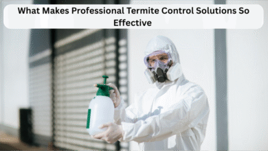 Termite Control