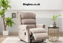dinsdale shop chair cushions for sale