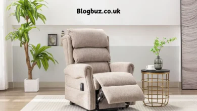 dinsdale shop chair cushions for sale