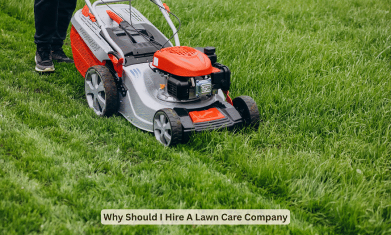 Lawn Care