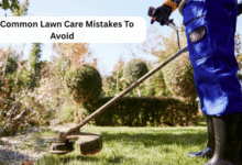 Lawn