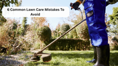 Lawn