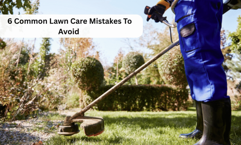 Lawn