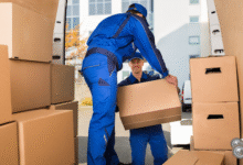 Choosing the Best Removal Company for Hassle-Free Home and Business Moves