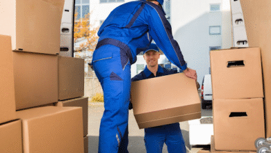 Choosing the Best Removal Company for Hassle-Free Home and Business Moves