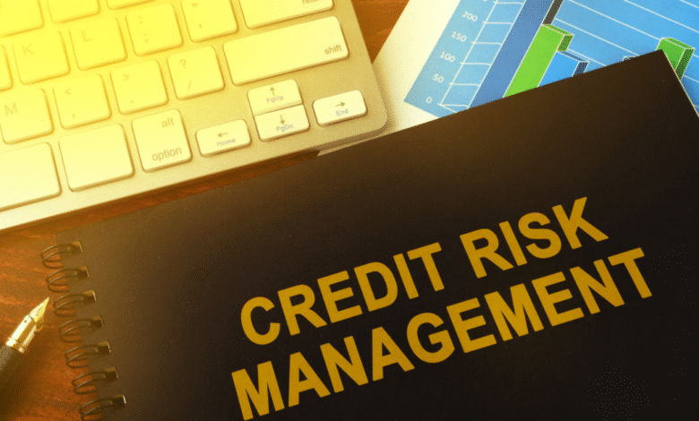 Credit Management