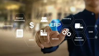 ERP Developer