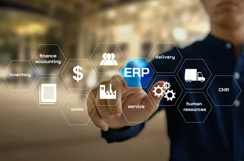 ERP Developer