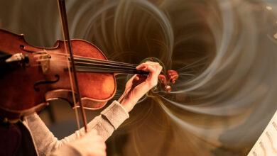 How Musicians Recognize a Violin Worth Keeping