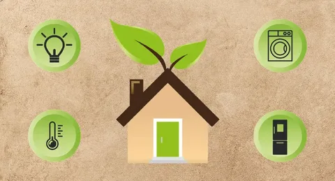 Simple Ways to Make Your Home More Eco-Friendly