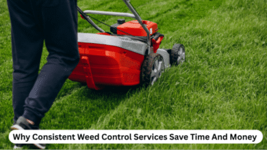 Why Consistent Weed Control Services Save Time And Money
