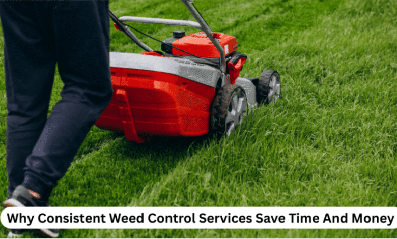Why Consistent Weed Control Services Save Time And Money