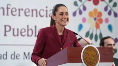 claudia sheinbaum pardo net worth