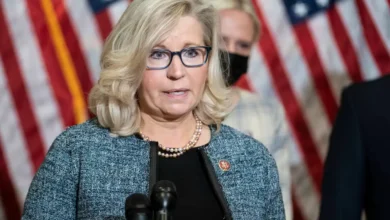 liz cheney net worth