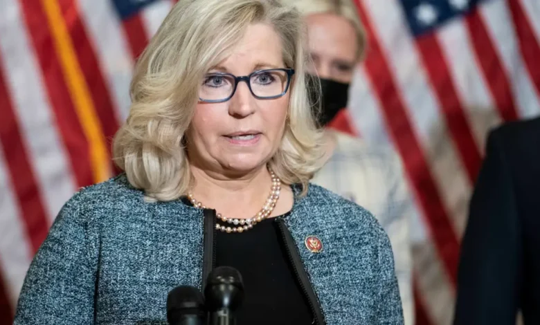 liz cheney net worth