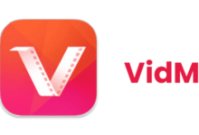 Online Video Downloader
