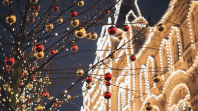 Christmas Light Installation
