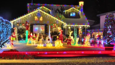 Christmas Lights