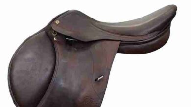 Dressage Saddle