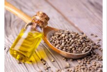Organic Hemp Seed Oil