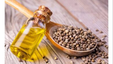 Organic Hemp Seed Oil