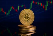 Top Solutions for Crypto Colocation in 2025