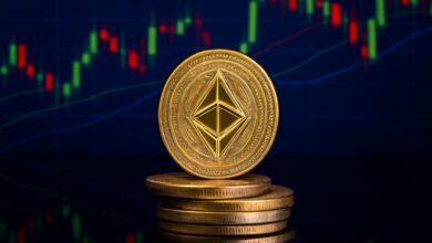 Top Solutions for Crypto Colocation in 2025