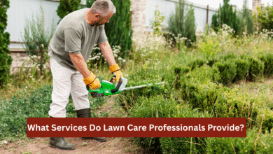 Lawn Care
