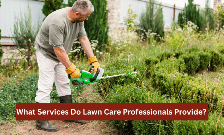 Lawn Care