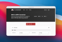 MP4
