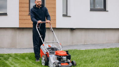 A healthy, green lawn makes any home feel warm and inviting