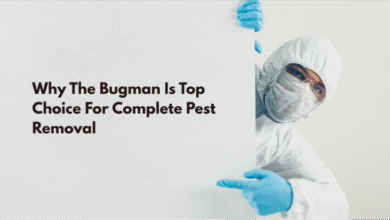 Why The Bugman Is Top Choice For Complete Pest Removal