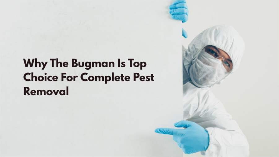 Why The Bugman Is Top Choice For Complete Pest Removal - Blog Buz