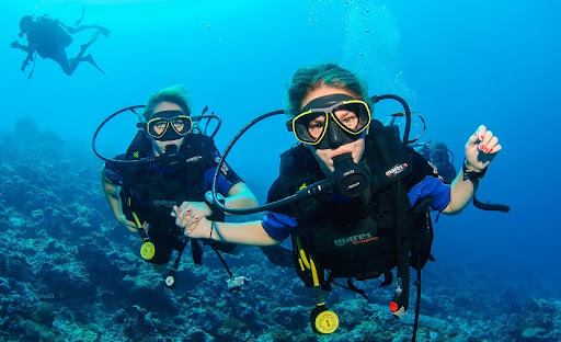 Diving in the Maldives is a dream for many underwater enthusiasts. With its crystal-clear waters, rich marine biodiversity, vibrant coral reefs, and remote atolls,