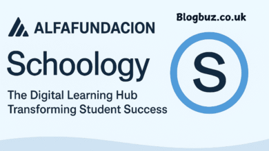alfafundacion schoology