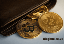 ecryptobit.com wallets