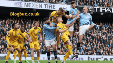 man city vs brighton & hove albion f.c. timeline
