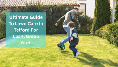 Ultimate Guide To Lawn Care In Telford For Lush, Green Yard