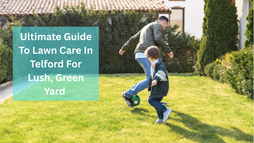 Ultimate Guide To Lawn Care In Telford For Lush, Green Yard
