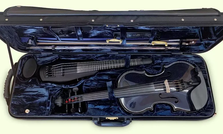 Violin case with instruments inside.