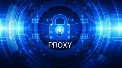 Practical proxy workflows with INSOCKS for secure SOCKS5 and HTTPS use